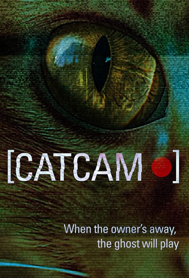 2026-02-28_Feature2_CatCam_plain 2026-02-28_Feature2_CatCam_plain